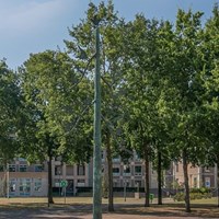 Helmond, Frans Joseph van Thielpark, 3-kamer appartement - foto 6