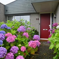 Drachten, Marne, bungalow - foto 5