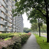 Rijswijk (ZH), Thomas Jeffersonlaan, 4-kamer appartement - foto 5