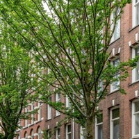 Amsterdam, Bosboom Toussaintstraat, 3-kamer appartement - foto 6