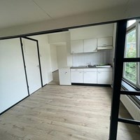 Arnhem, Graslaan, semi zelfstandige studio - foto 4