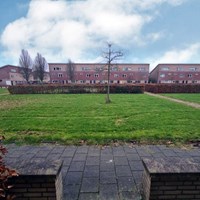 Assen, Rozemarijntuin, tussenwoning - foto 5