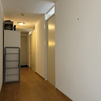 Eindhoven, Dupuislaan, 3-kamer appartement - foto 4