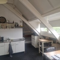 Arnhem, Utrechtseweg, zelfstandige studio - foto 4