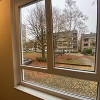 Enschede, Dommelstraat, studentenkamer - foto 4