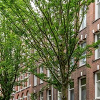 Amsterdam, Bosboom Toussaintstraat, 3-kamer appartement - foto 5