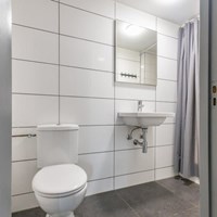 Tilburg, Enschotsestraat, kamer - foto 6