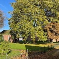 Ulrum, H. de Cockstraat, vrijstaande woning - foto 4