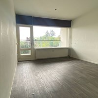 Apeldoorn, Robijnstraat, zelfstandige studio - foto 6