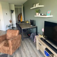 Zwolle, Erfwal, 2-kamer appartement - foto 4