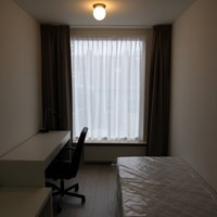 Eindhoven, Louise de Colignystraat, kamer - foto 6