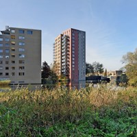 Amsterdam, Borgloonstraat, 3-kamer appartement - foto 4