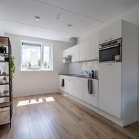 Wapenveld, Boskolk, hoekwoning - foto 6