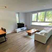 Rotterdam, Boezemkade, 3-kamer appartement - foto 5