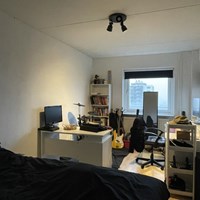 Apeldoorn, Kalmoesstraat, 4-kamer appartement - foto 6