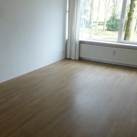 Tilburg, Professor Cobbenhagenlaan, 4-kamer appartement - foto 5