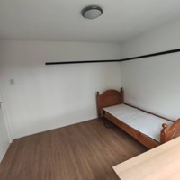 Eindhoven, Schelfhoutstraat, kamer - foto 4