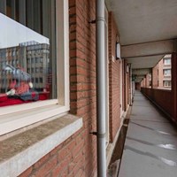 Maastricht, Erasmusdomein, 5-kamer appartement - foto 5