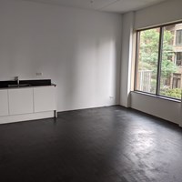 Eindhoven, Philitelaan, 2-kamer appartement - foto 4