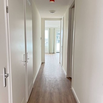 Utrecht, Parkzichtlaan, 2-kamer appartement - foto 3