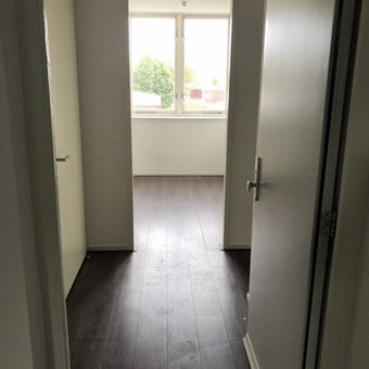 Arnhem, Mooieweg, 2-kamer appartement - foto 3