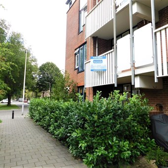 Alphen aan den Rijn, Paddestoelweg, 3-kamer appartement - foto 2