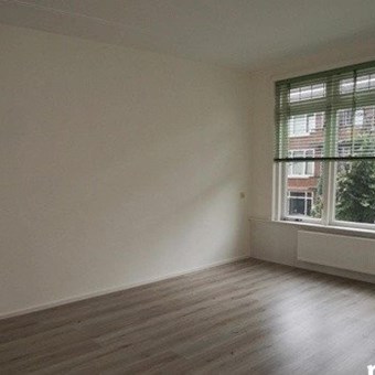 Rotterdam, Franselaan, 6+ kamer appartement - foto 3