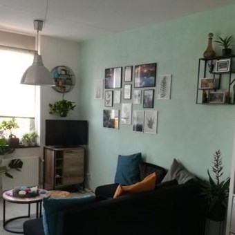 Tilburg, Korvelseweg, 2-kamer appartement - foto 3