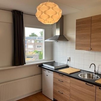 Amersfoort, Zeepkruid, 2-kamer appartement - foto 2