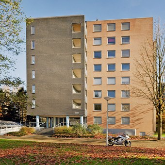 Amsterdam, Borgloonstraat, 3-kamer appartement - foto 2