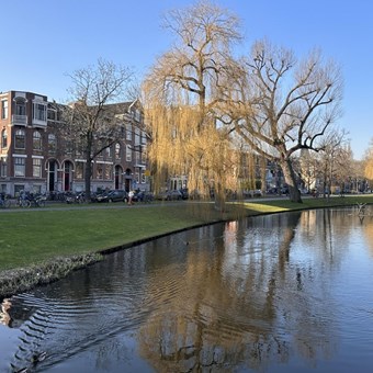 Rotterdam, Spoorsingel, benedenwoning - foto 2