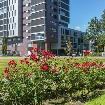 Groningen, Grote Beerstraat, 3-kamer appartement - foto 2