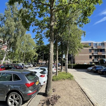 Rotterdam, Grienderwaard, 2-kamer appartement - foto 3