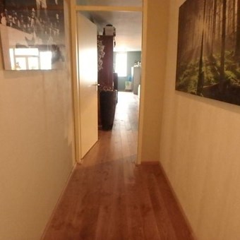 Eindhoven, Grote Berg, 3-kamer appartement - foto 3