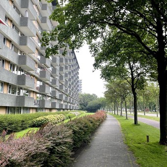 Rijswijk (ZH), Thomas Jeffersonlaan, bovenwoning - foto 3