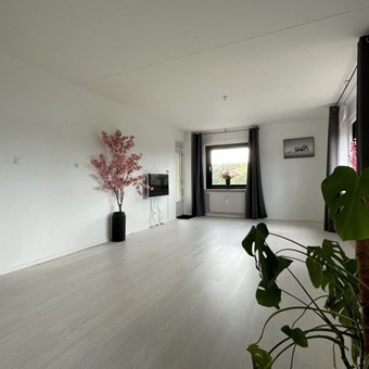 Apeldoorn, Kalmoesstraat, 4-kamer appartement - foto 2