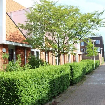 Utrecht, Oswald Wenckebachhof, eengezinswoning - foto 3