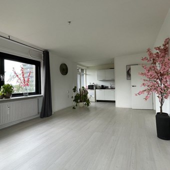 Apeldoorn, Kalmoesstraat, 4-kamer appartement - foto 3