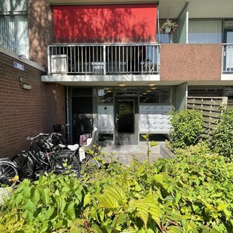 Rotterdam, Grienderwaard, 2-kamer appartement - foto 2