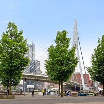 Rotterdam, Houtlaan, 2-kamer appartement - foto 3