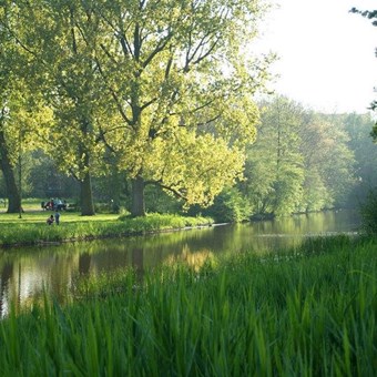 Amsterdam, Esmoreitstraat, benedenwoning - foto 3