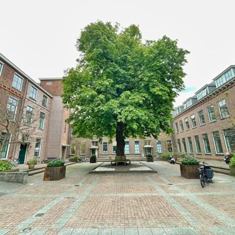 Oegstgeest, Rhijngeesterstraatweg, 3-kamer appartement - foto 3