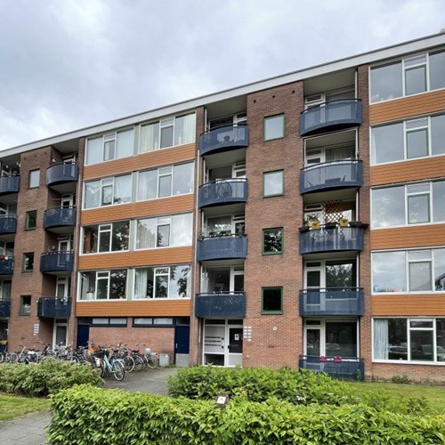 Deventer, Lingestraat, portiekflat - foto 1