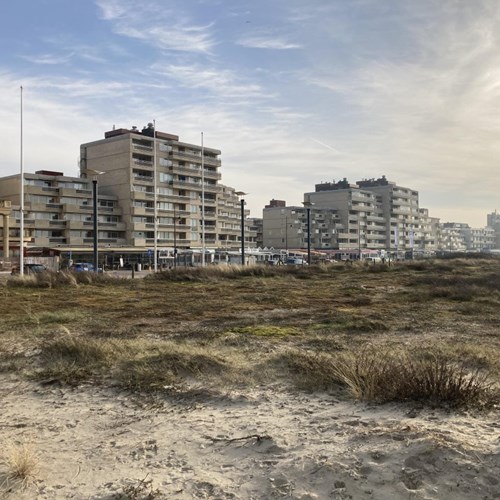 Noordwijk (ZH), Adelaert, 2-kamer appartement - foto 1