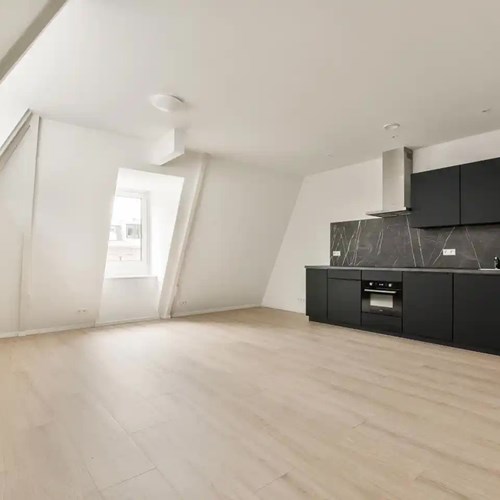 Amsterdam, Eerste Sweelinckstraat, 3-kamer appartement - foto 1