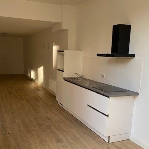 Tilburg, Wilhelminapark, 2-kamer appartement - foto 1