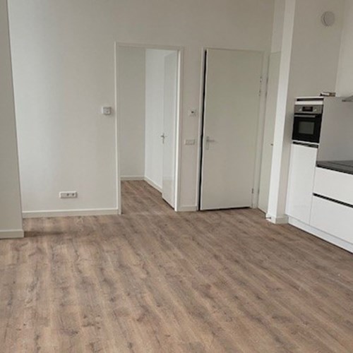 Tilburg, Wilhelminapark, 2-kamer appartement - foto 1