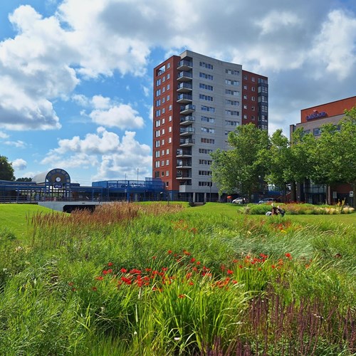 Heerenveen, Trambaan, 3-kamer appartement - foto 1