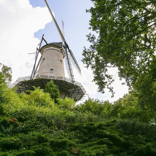 Alkmaar, Nassaulaan, benedenwoning - foto 1