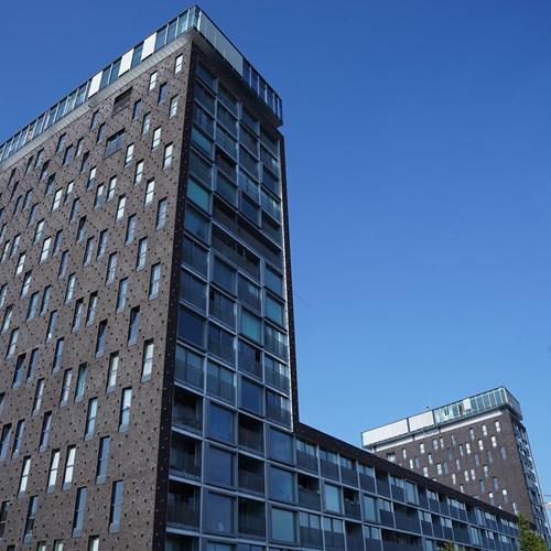 Groningen, Het Hout, 2-kamer appartement - foto 1